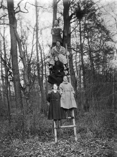 Five women in warm coats vertically arranged on a ladder in the woods.