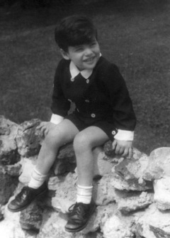 Small boy sitting on a rock wall.